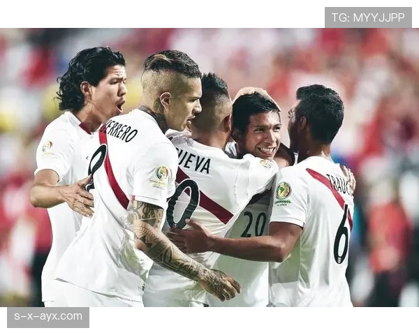 智利队防守稳固，成赛事夺冠关键保障